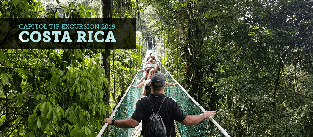 People walking on a rope bridge in the jungle on the 2019 TIP trip