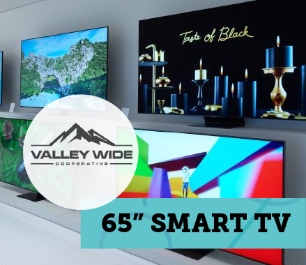 Trade Show Prize - Smart TV